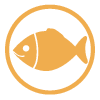 May contain Fish